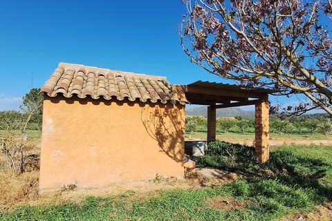 Finca i Ginestar, Tarragona, Ginestar - € 17.000 | Ref: CC842 - foto 3